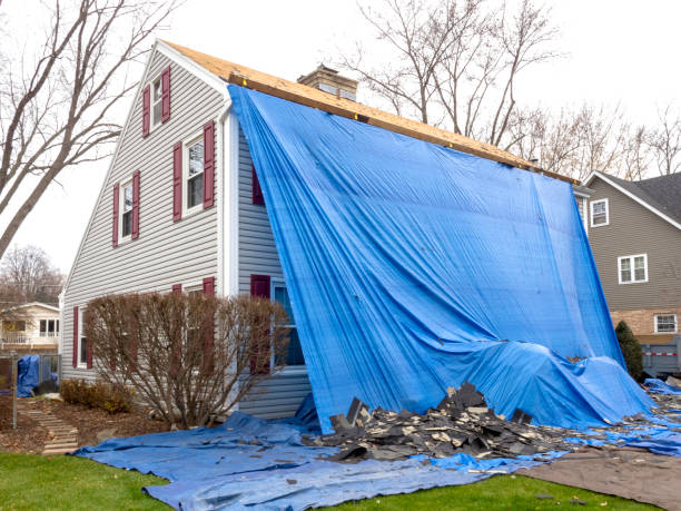 Best Basement Cleanout  in Caruthersville, MO